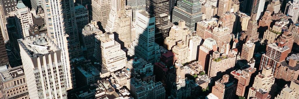 Hollie Revell banner