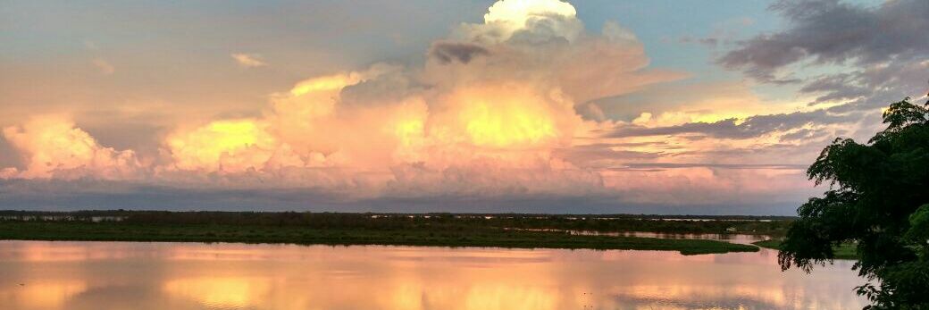 Towanda_SC's profile banner image