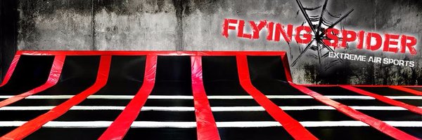 Flying Spider Sports Profile Banner