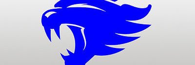 gocats banner