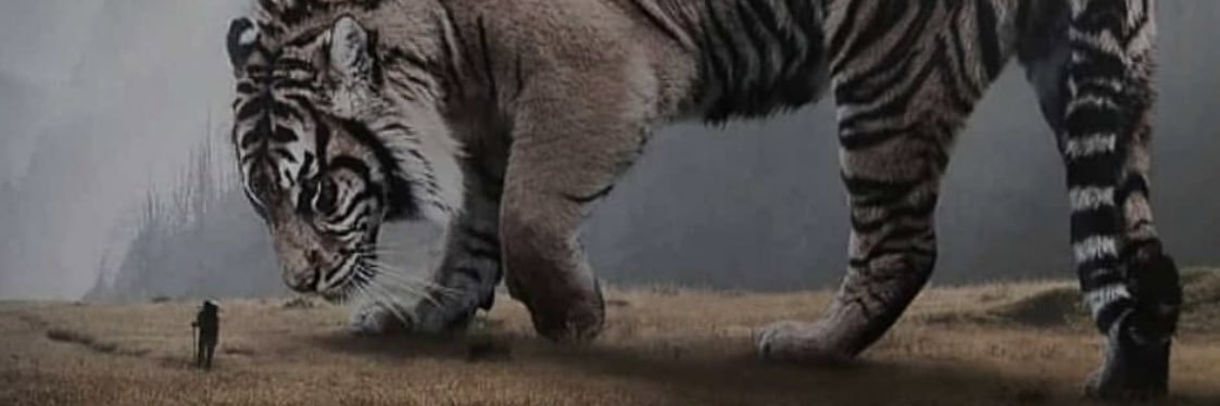 abulfauzi's profile banner image