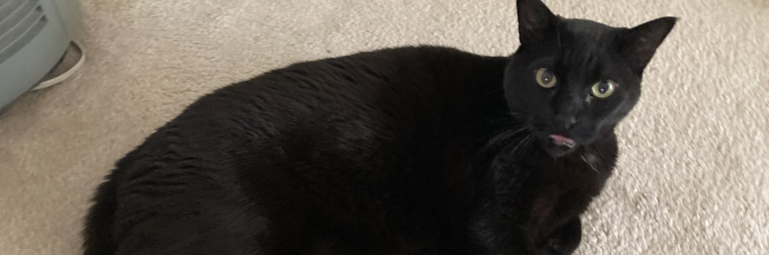 Saceason's profile banner image