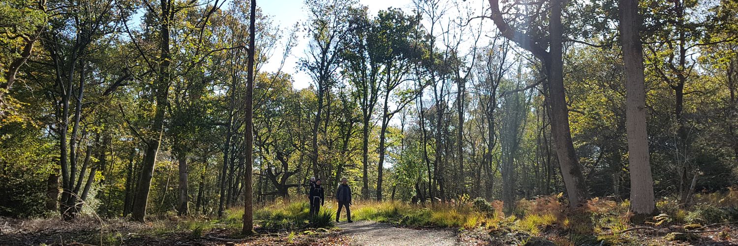 Michelle Holder (Yan) banner