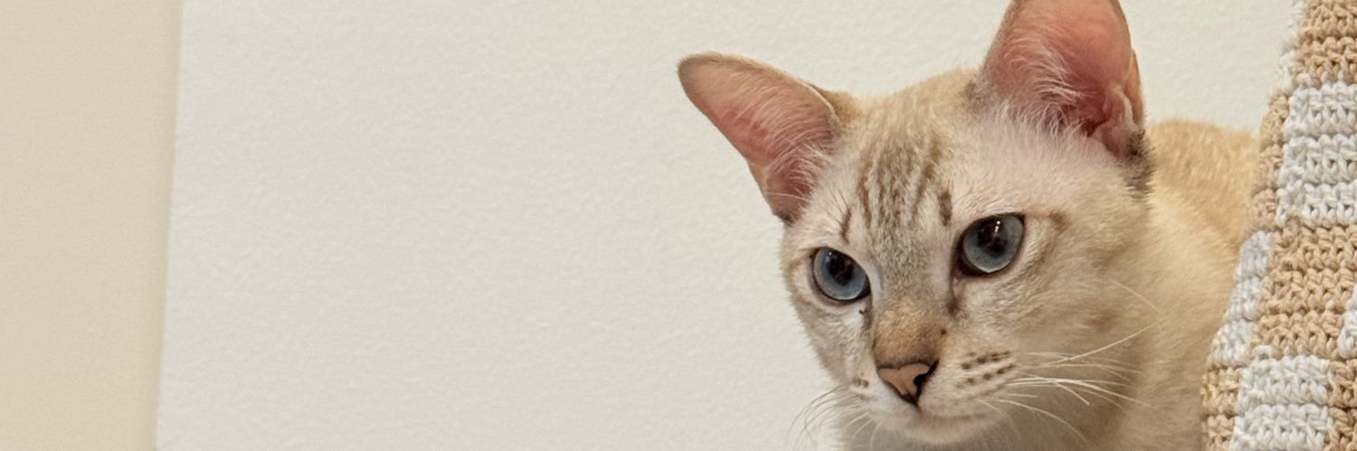 ppppthnrthn's profile banner image
