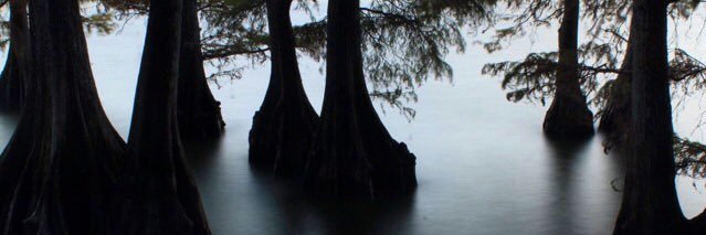 Chaise_Longue's profile banner image