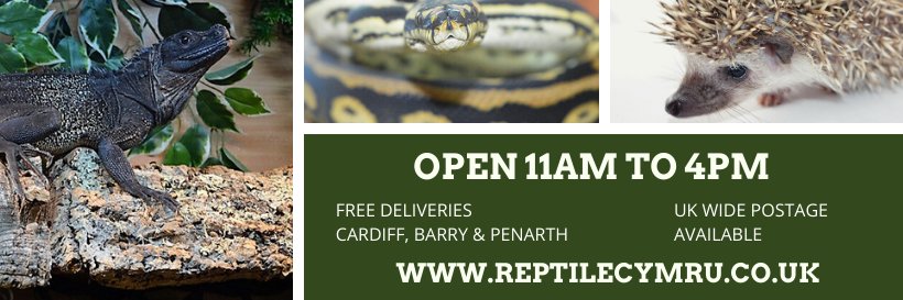 Reptile Cymru banner