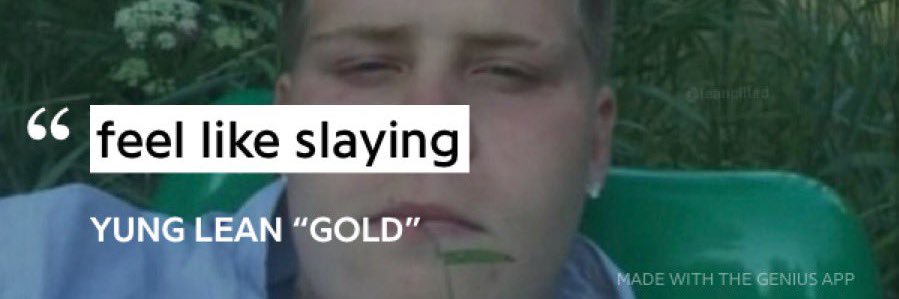 niandra ✧ ･ﾟ banner