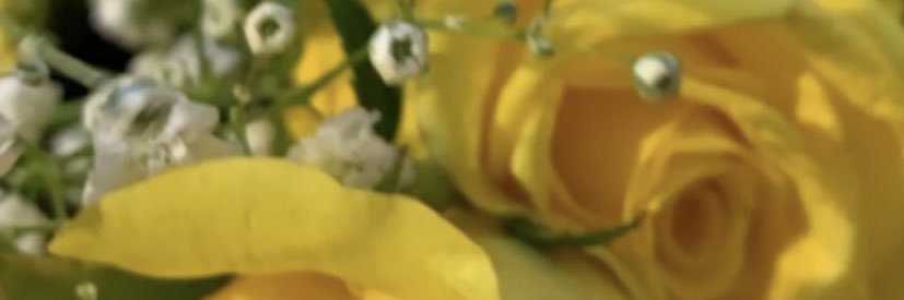 jo0ory_y's profile banner image