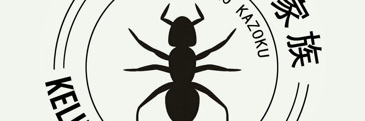 Firmaul's profile banner image