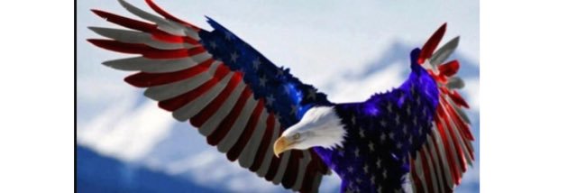 Mark Whitrock banner