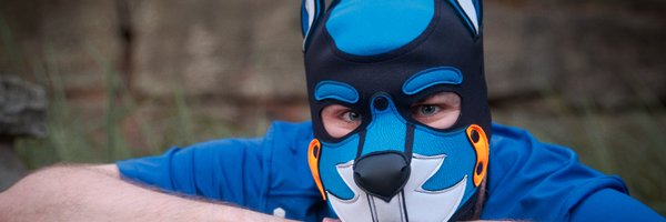 CirrusBarks Profile Banner