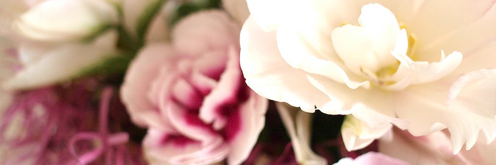 あおい banner