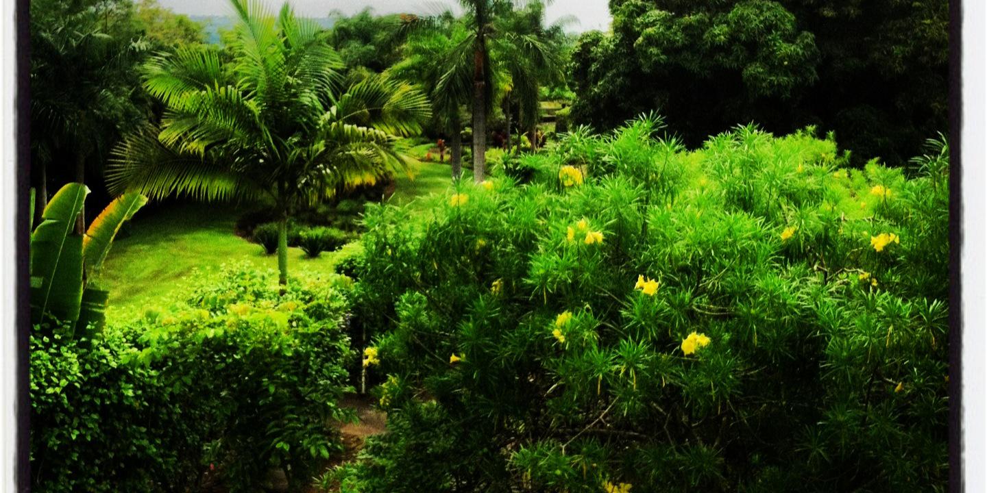 Amber Ferreira banner