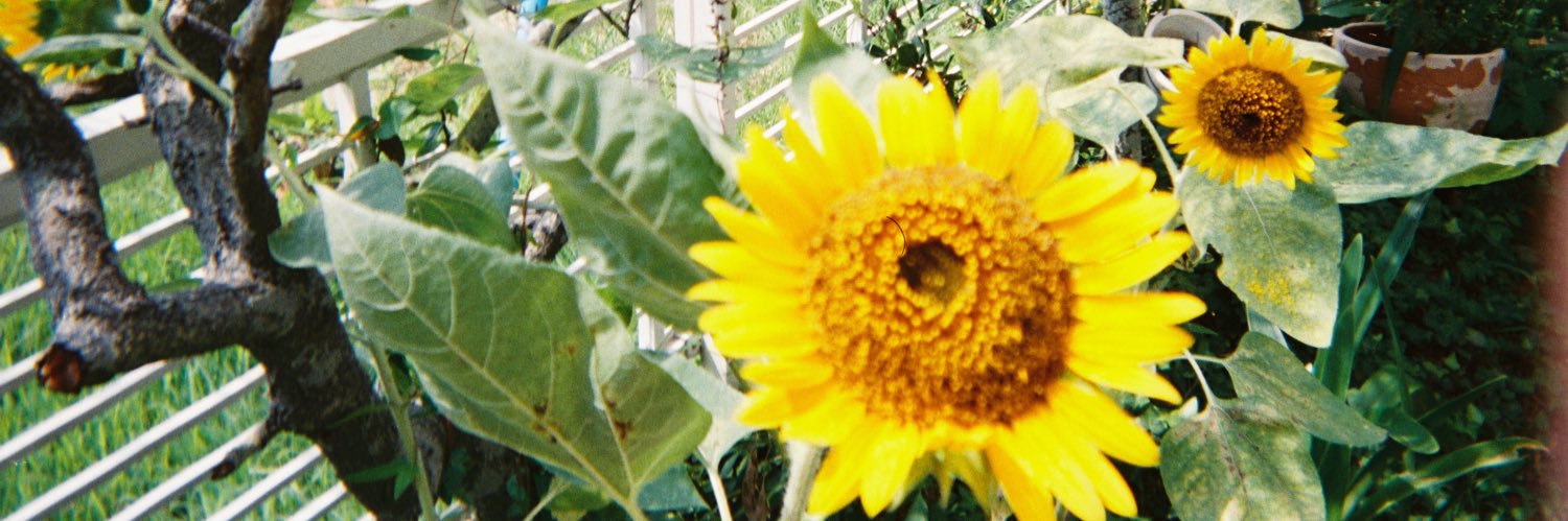 kkk___24321's profile banner image