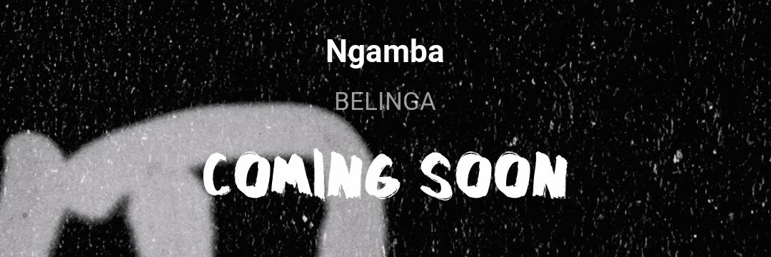 Belinga banner