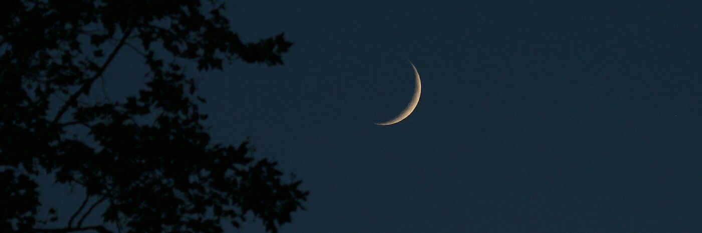 _FernandezLucia's profile banner image