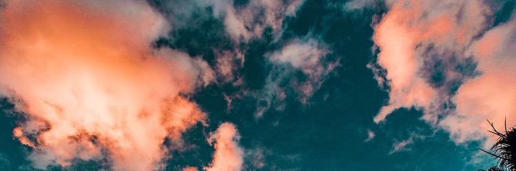 nihallclskn's profile banner image