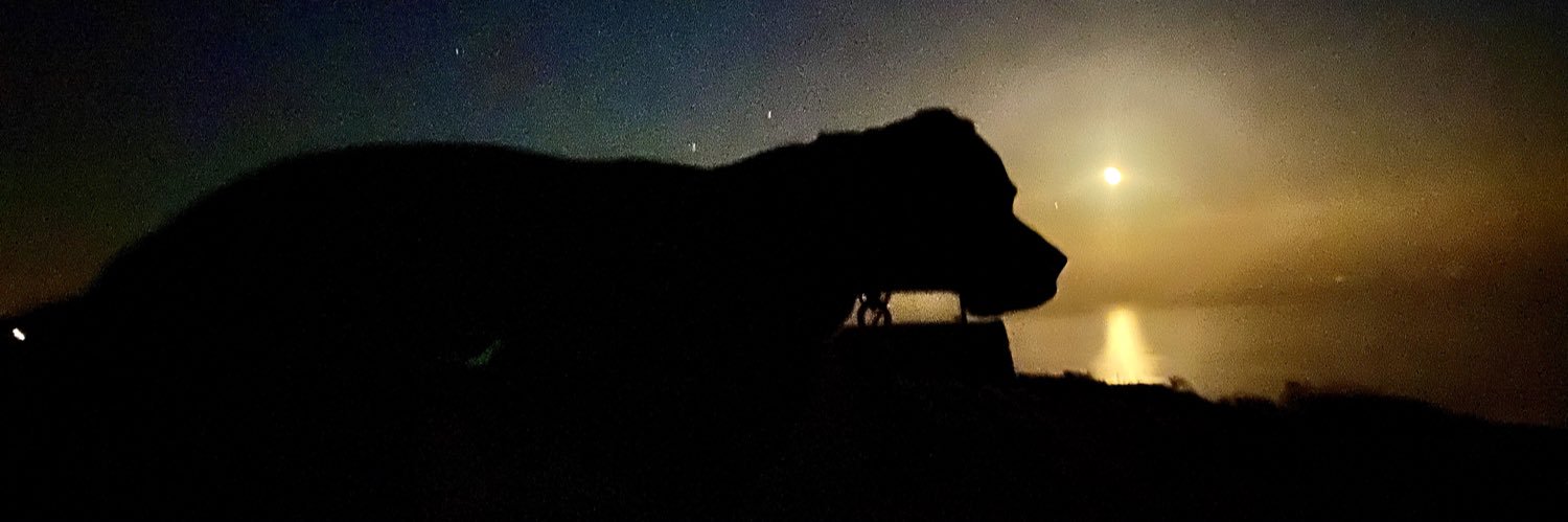 JesdonHedges's profile banner image