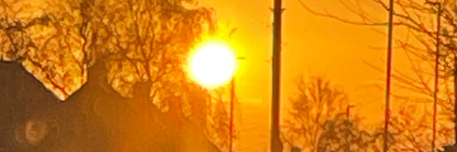 د ليلاك banner