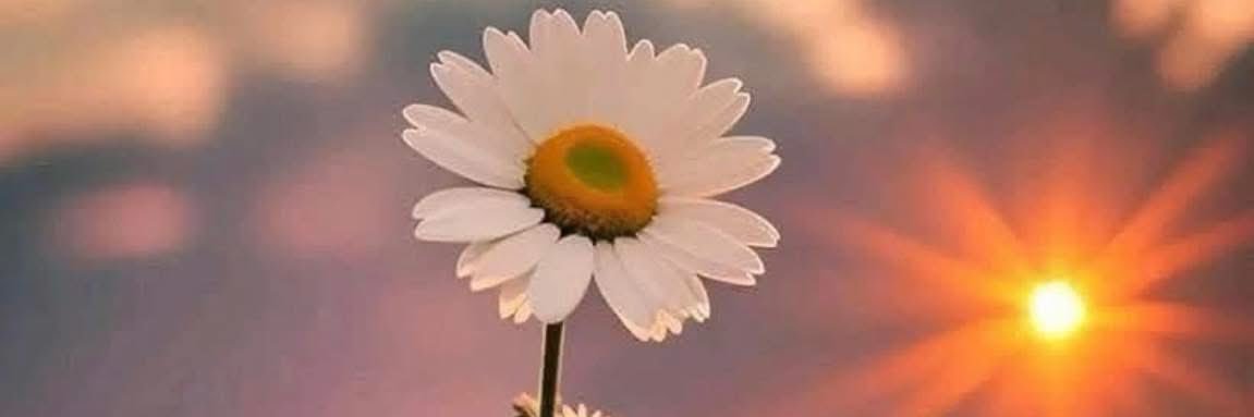 Moon₿oy⚡️ banner