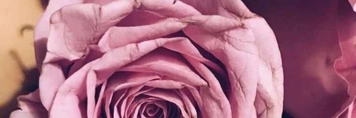 batool_sadiq21's profile banner image