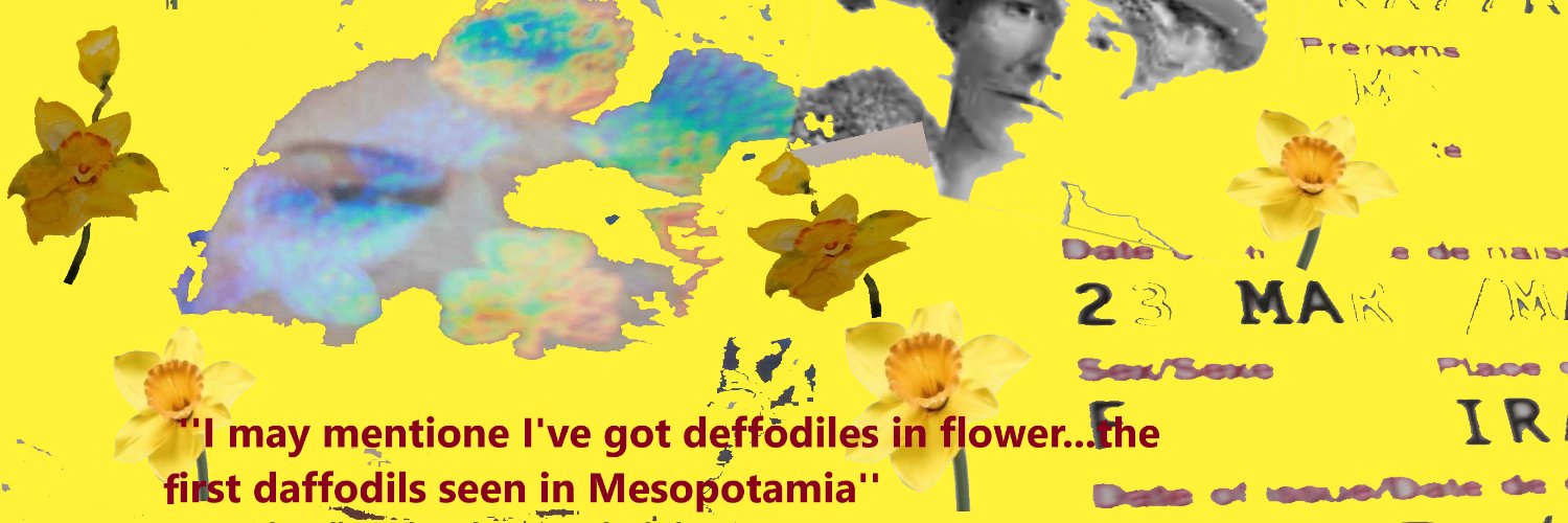 henaamalallah's profile banner image