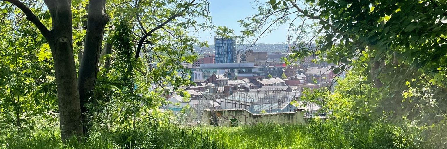 Shef Park Project banner