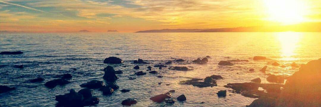 rocio_cofer's profile banner image