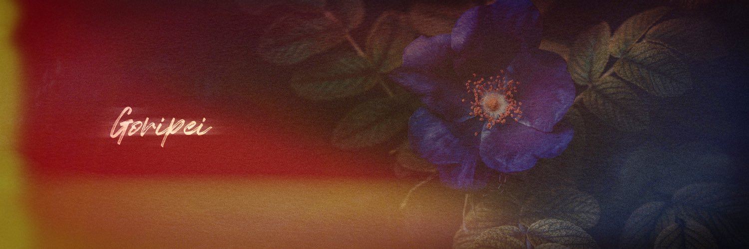 02gorigori02's profile banner image