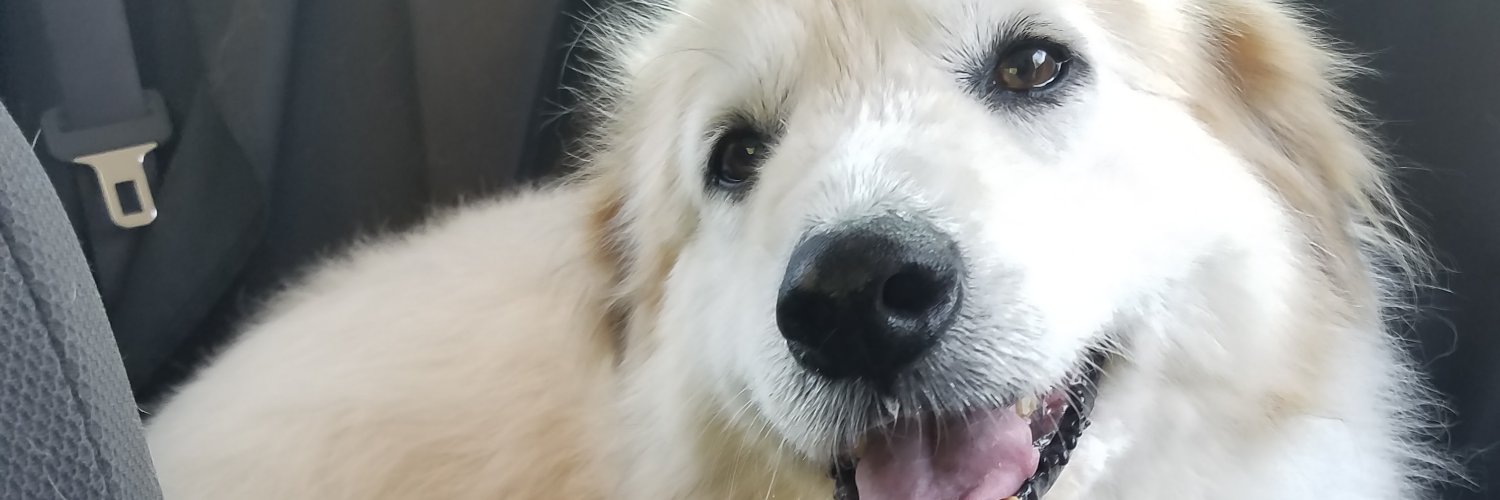 dmsantos27's profile banner image