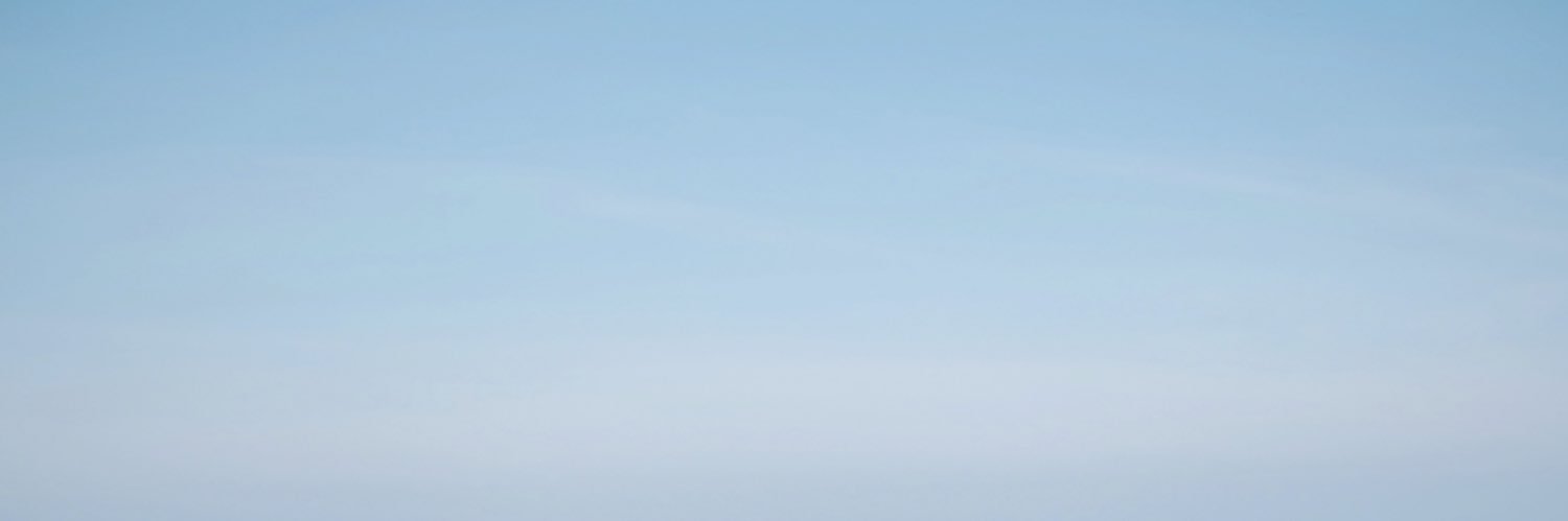 Lidia ❁ banner