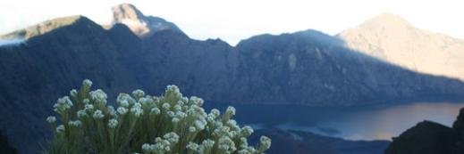 gaan_sp's profile banner image
