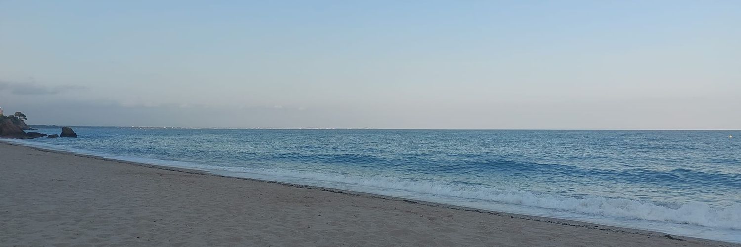 Che□ banner