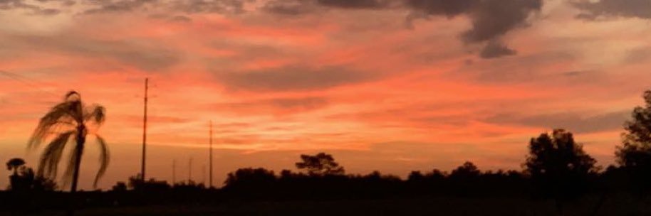 _taylorkehoe's profile banner image