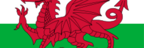 Welsh_Dragon_71 Profile Banner