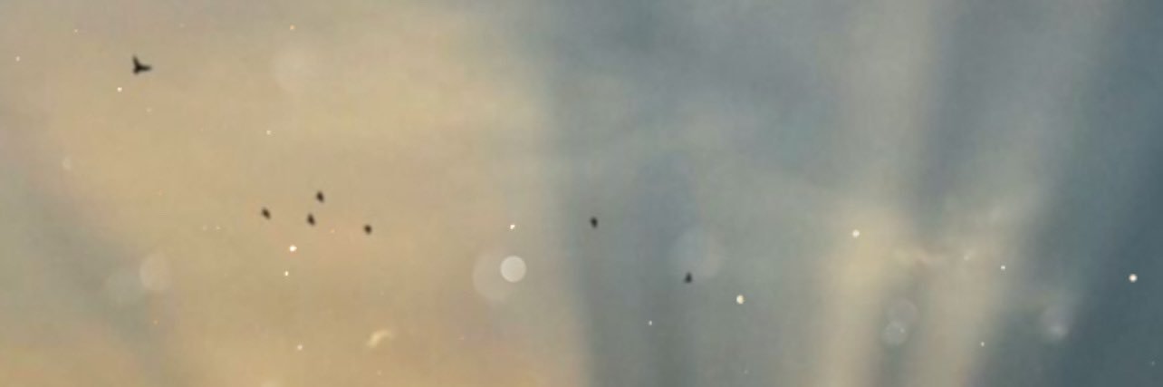 ooiaa11's profile banner image