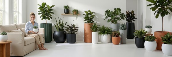 dtystore Profile Banner