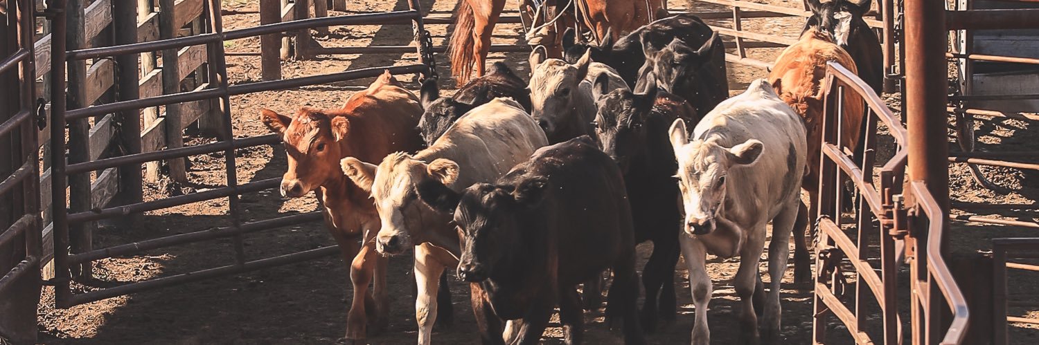 OklahomaAg's profile banner image