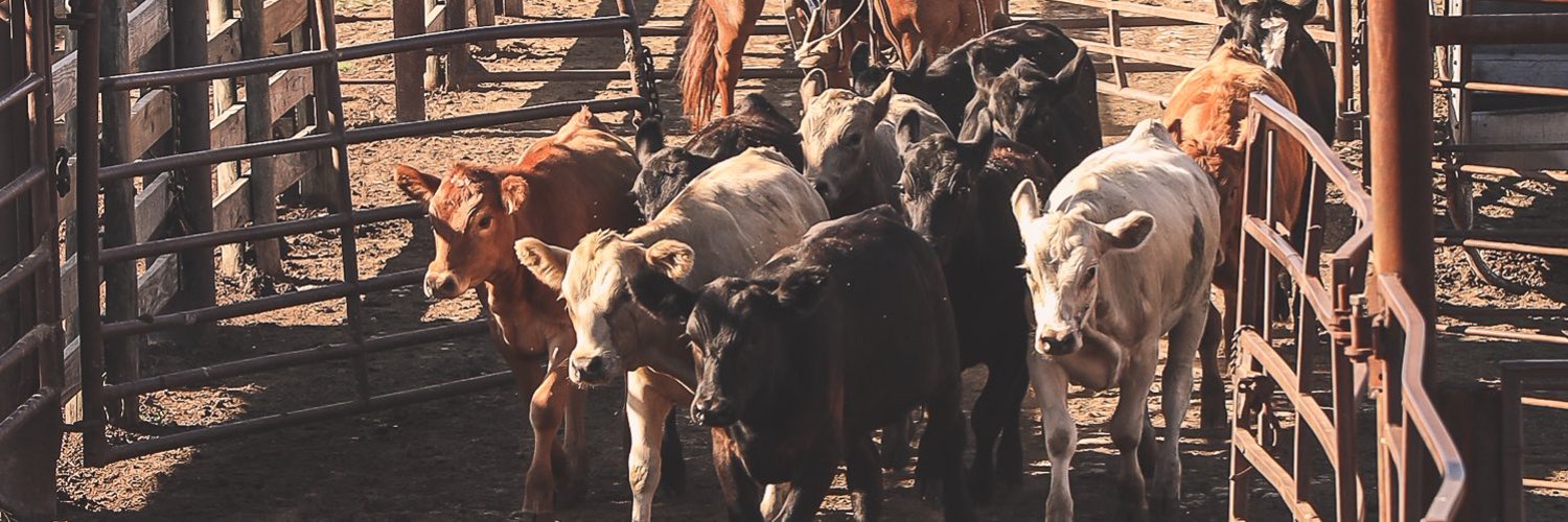 OK Dept of Ag (OklahomaAg) / Twitter