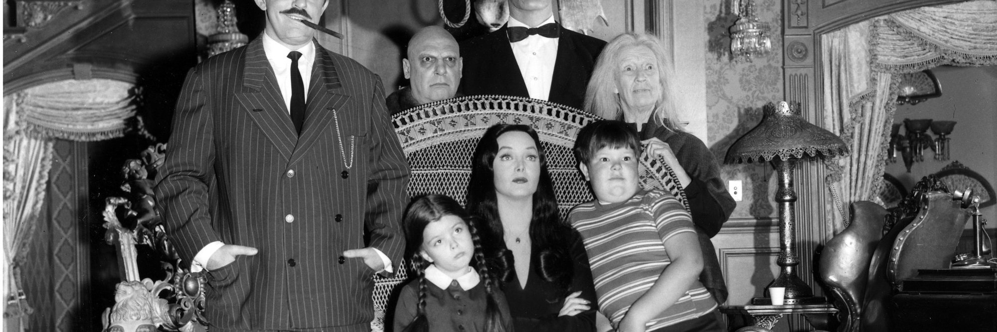 Zoë Kleinfeld banner