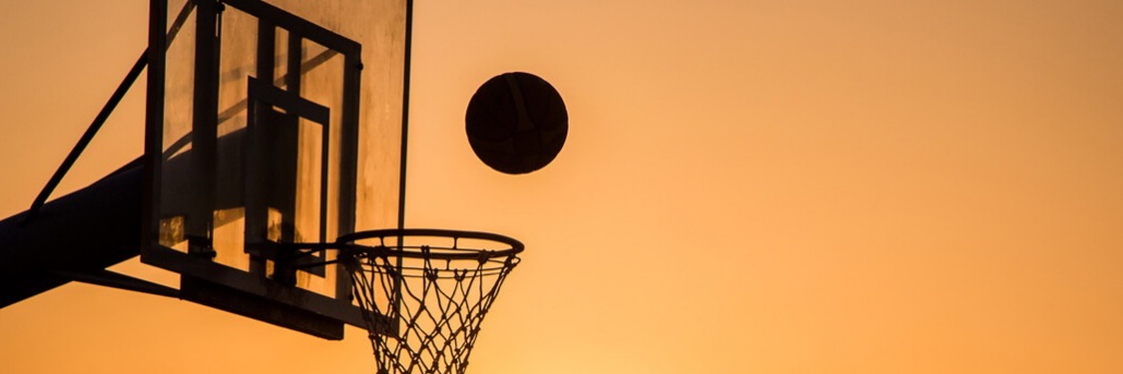 Seimone Griffin banner