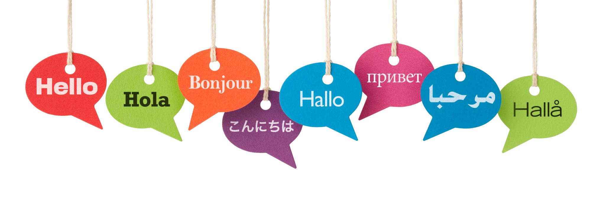 Ɽ𝗲𝗲𝐦 Ąℓ𝗻𝗮ϯ𝗼𝘂𝗿 🕊 banner