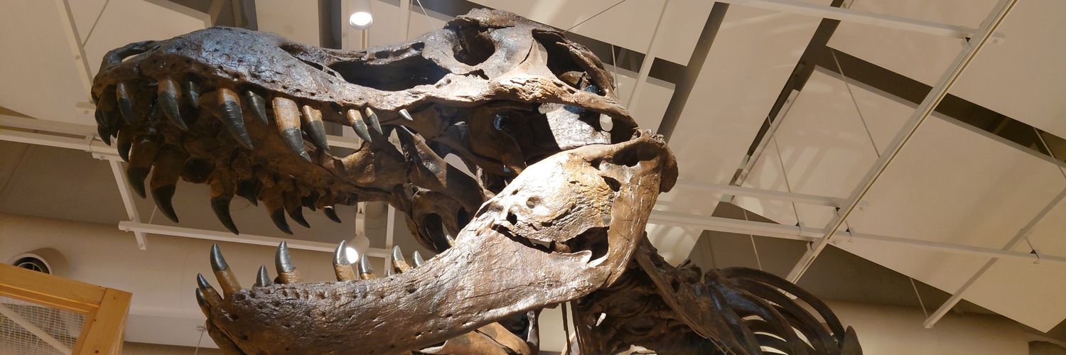 ヒースケー banner