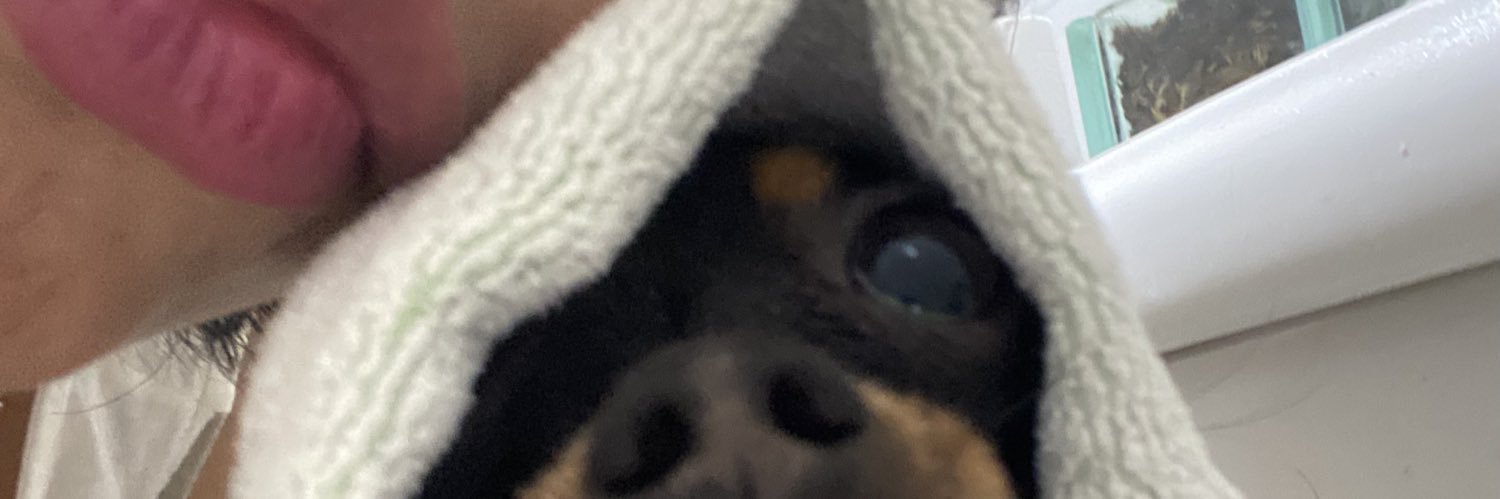 echcomini's profile banner image