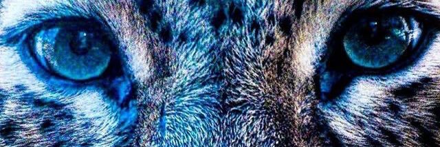 meagannasty's profile banner image