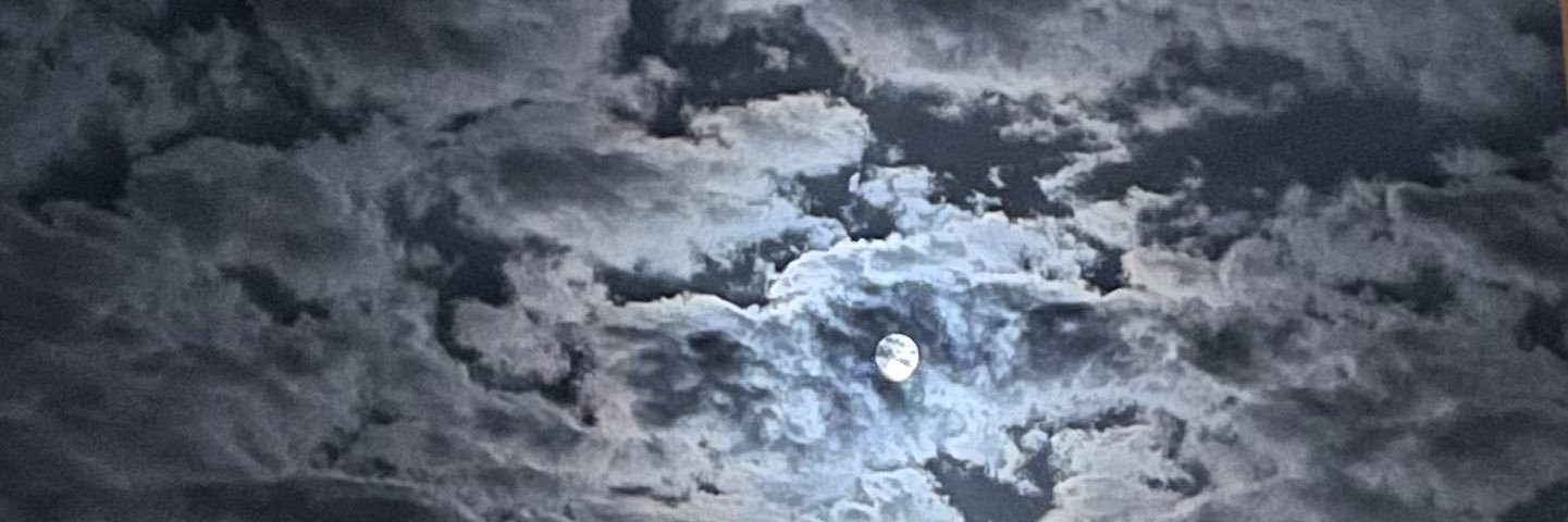 nor_an11's profile banner image