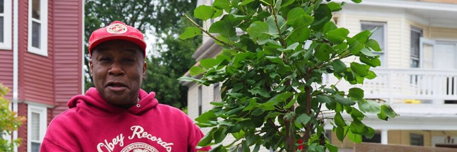 Speak for the Trees, Boston banner