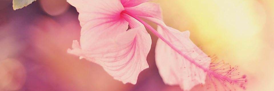 Atique__'s profile banner image
