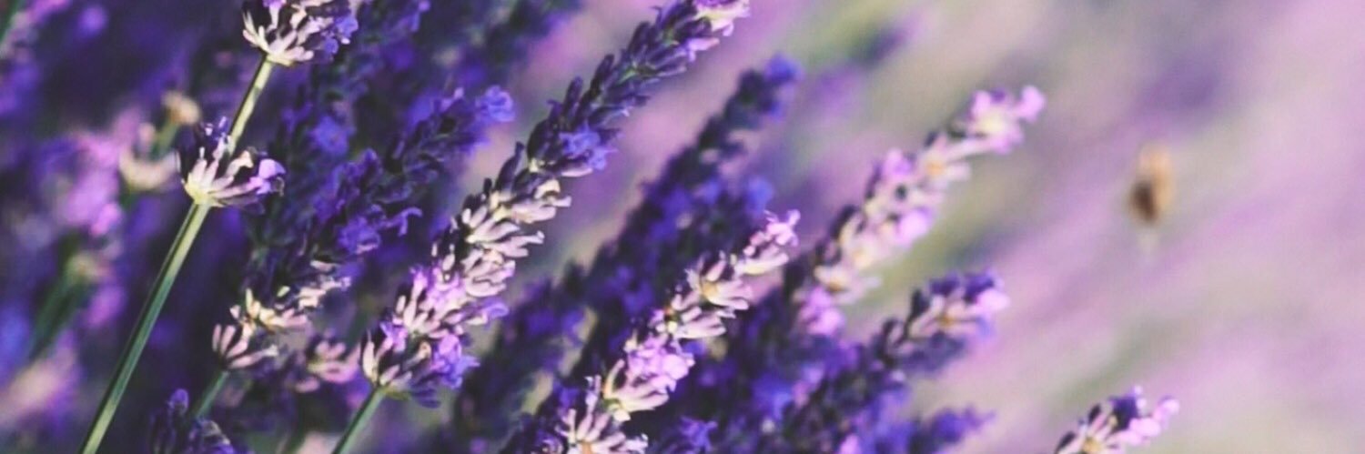 viryhoudini's profile banner image