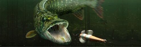 fishingmatters's profile banner image